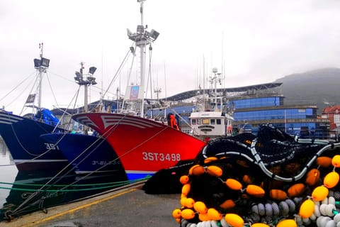 Santona: Urban and Marine Visit