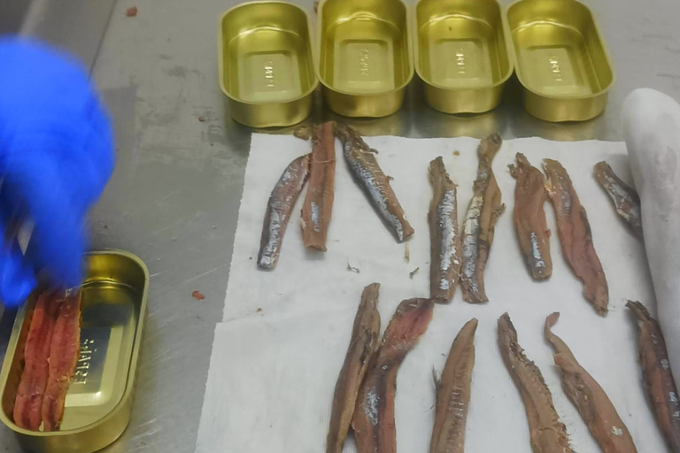 Santona: Konservenfabrik und die Sümpfe Tour mit Verkostung