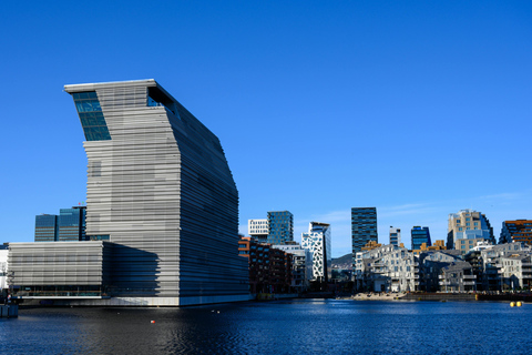 Oslo: Exclusive Hidden Gems, Waterfall & Scenic Luxury Tour