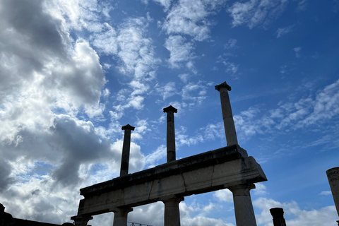 Från Neapel: Guidad tur i Pompeji med förare från NeapelFrån Napoli: Guidad tur i Pompeji med inträdesbiljett