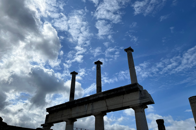 Från Neapel: Guidad tur i Pompeji med förare från NeapelFrån Napoli: Guidad tur i Pompeji med inträdesbiljett