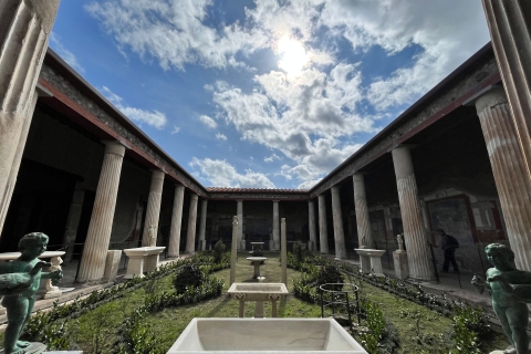 Pompeii: rondleiding met ticket en vervoer inbegrepen