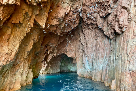 Från Sant Ambroggio: Scandola, Girolata &amp; Calanques de Piana