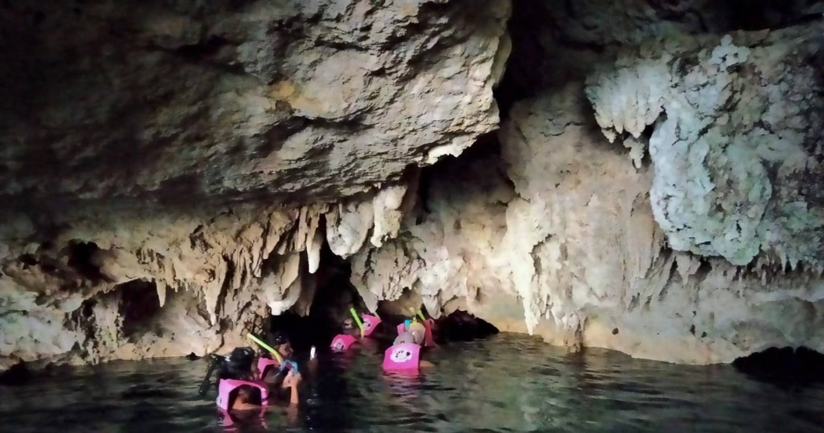 From Playa del Carmen: Cenote and Swim with Turtles Tour | GetYourGuide