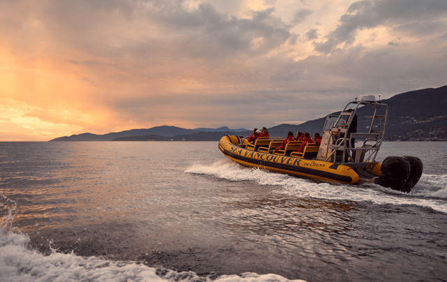 Vancouver: City and Nature Sightseeing RIB Tour