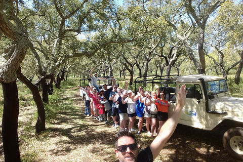 Depuis Albufeira : safari tout-terrain en 4x4 et dégustation de vins dans les vignobles