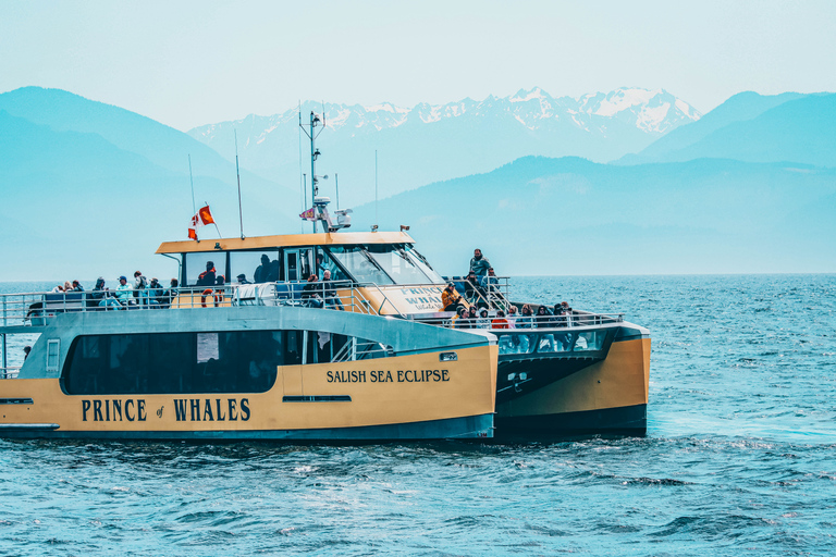 Victoria: Covered Whale Watching Adventure with Free Photos Victoria: Half-Day Whale Watching Adventure with Free Photos