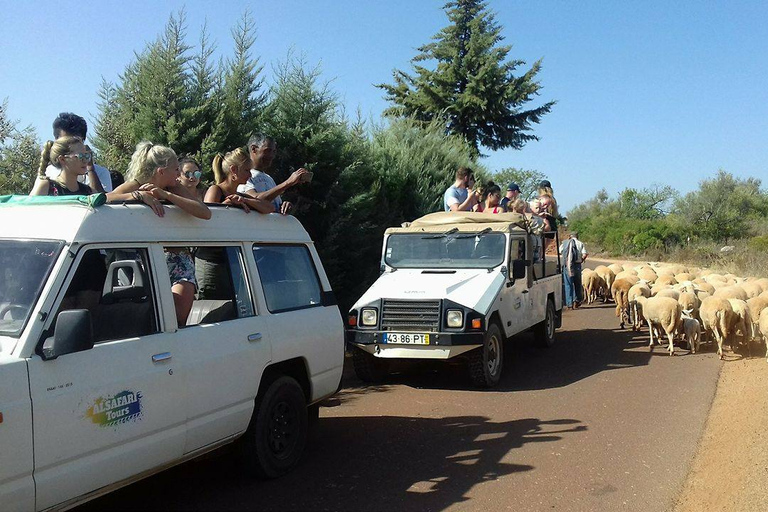 Depuis Albufeira : safari tout-terrain en 4x4 et dégustation de vins dans les vignobles