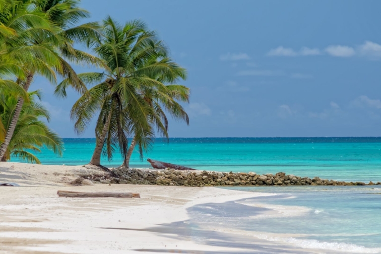 Von Punta Cana aus: Ganztägige Katamaran-Tour zur Insel Saona