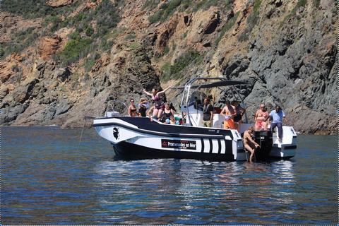 Calvi a Scandola: tour en barco de 4 horas