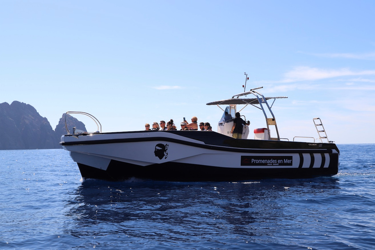 Depuis Calvi : croisière de 4 h vers Scandola