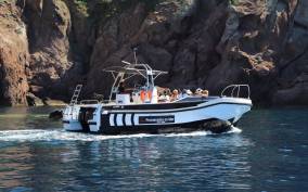 Calvi to Scandola: 4-Hour Boat Tour