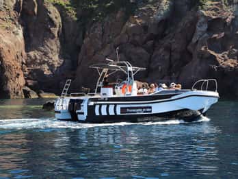 Calvi to Scandola: 4-Hour Boat Tour