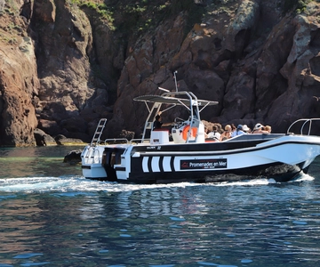 Calvi nach Scandola: 4-stündige Bootstour