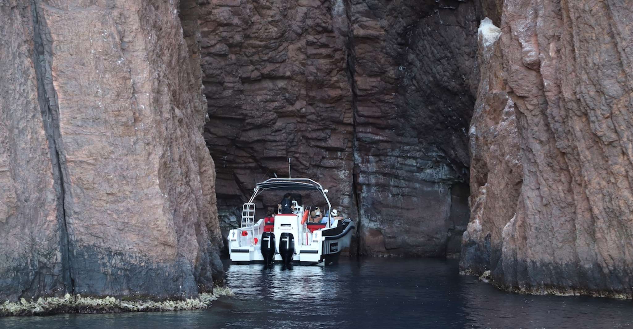 Calvi to Scandola, 4-Hour Boat Tour - Housity