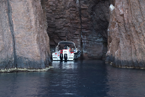 Calvi a Scandola: tour en barco de 4 horas