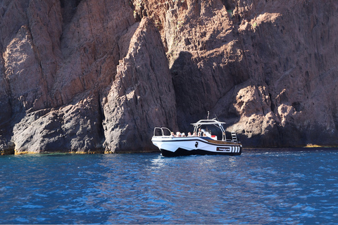 Riserva naturale di Scandola: tour in barca da Calvi di 4 ore