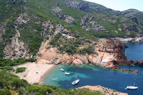 Calvi a Scandola: tour en barco de 4 horas