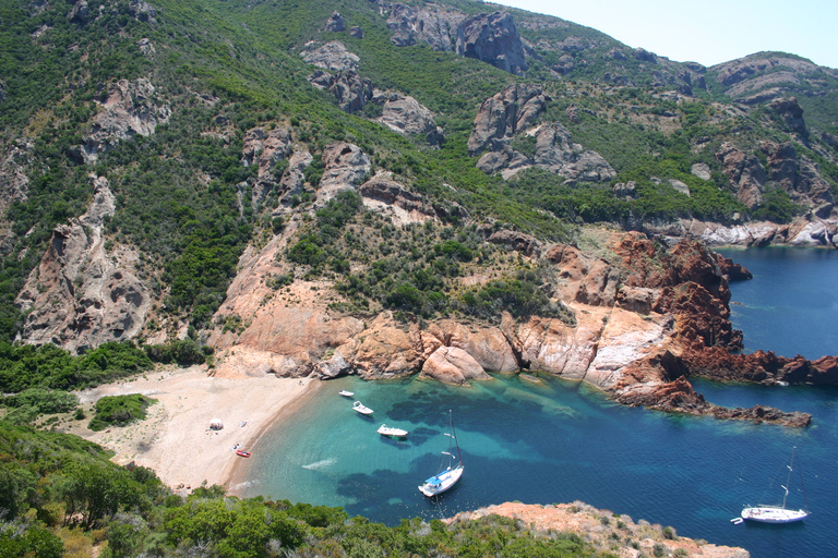 Ab Calvi: Bootstour nach Scandola