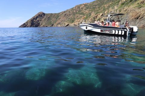 Calvi : excursion en bateau de 5 heures à Scandola et Piana