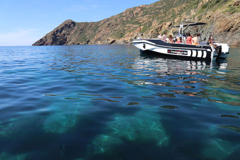 Calvi : visite guidée en bateau de Scandola et Piana