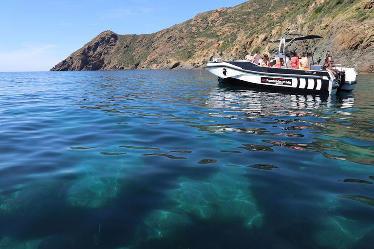 Calvi: passeio de barco guiado por Scandola e Piana