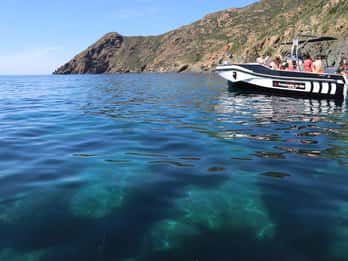 Calvi: Scandola and Piana Guided Boat Tour