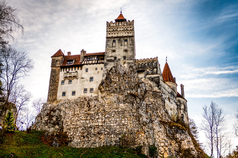 Von Bukarest aus: Bärenschutzgebiet & Draculas Schloss TourVon Bukarest aus: Bärenschutzgebiet Libeary und Draculas Schloss