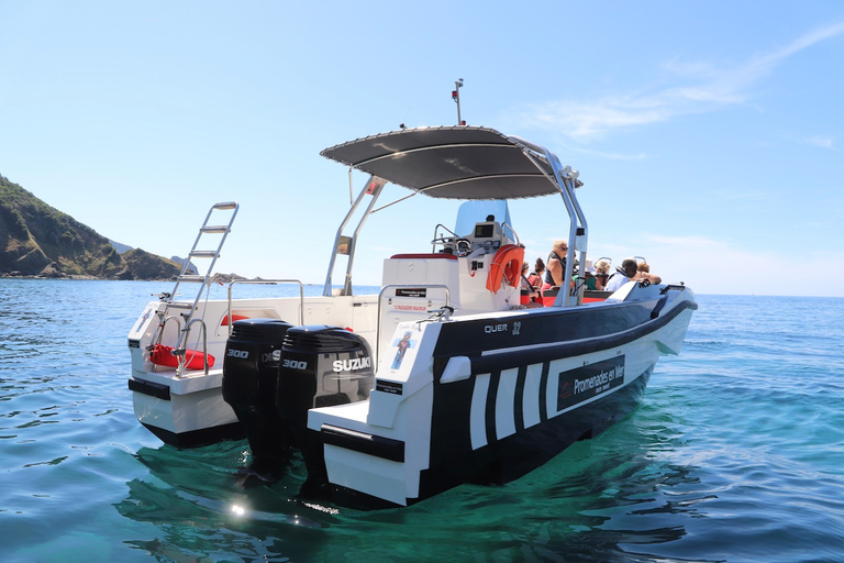 Calvi : visite guidée en bateau de Scandola et Piana