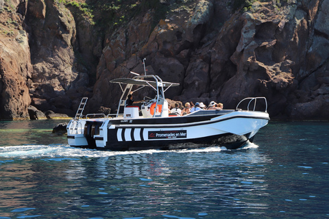 Calvi: passeio de barco de 6 horas em Scandola e Girolata