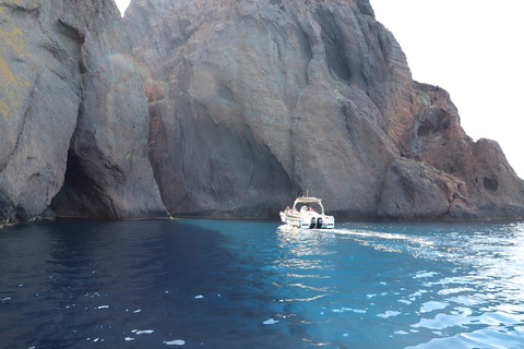 Calvi: tour in barca di 6 ore di Scandola e Girolata