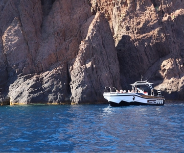 Calvi: Scandola and Girolata 6-Hour Boat Tour