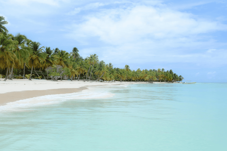 From Punta Cana: Saona Island Full-Day Catamaran Tour | GetYourGuide