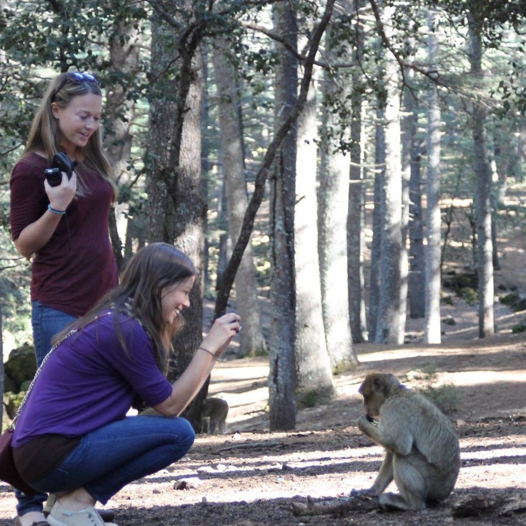 Au départ de Fès : Excursion d'une journée dans le Moyen Atlas - trekking