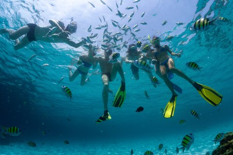 De Cancún: Passeio de mergulho com snorkel em CozumelDe Cancún: Excursão de 1 Dia c/ Snorkel em Cozumel