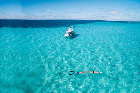 De Cancún: excursion de plongée en apnée d'une journée à Cozumel