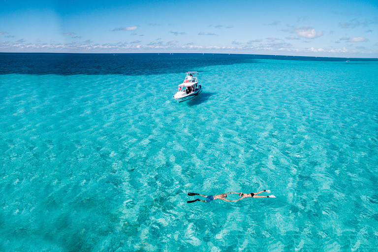 Desde Cancún: tour de snorkel de 1 día en Cozumel