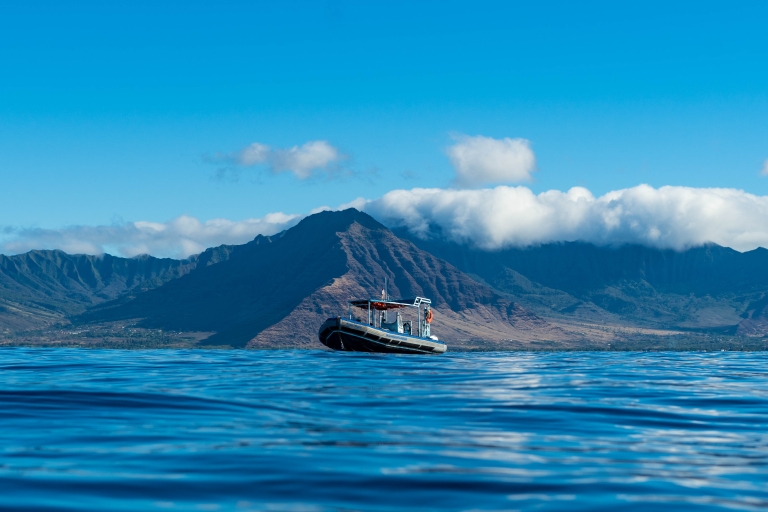 Honolulu: Dolfijnavontuur Speedboot-snorkeltrip van 3 uur07:30 - 10:30 uur Ochtendtour met vervoer