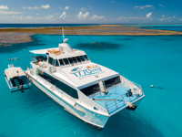 From 1770, Lady Musgrave Island Snorkelling Day Cruise - Housity