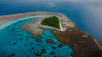 From 1770, Lady Musgrave Island Snorkelling Day Cruise - Housity
