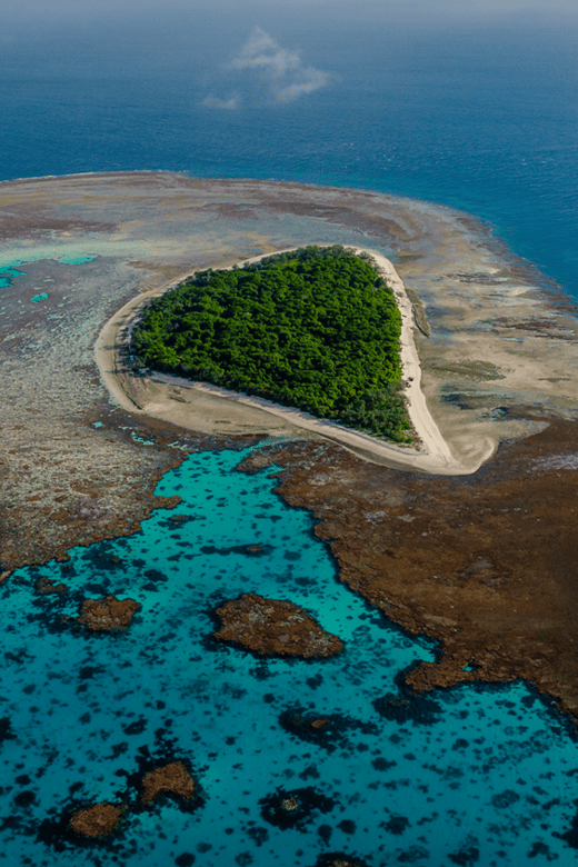 Town of 1770: Lady Musgrave Island Snorkelling Day Cruise | GetYourGuide