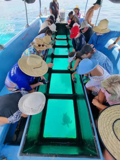 From 1770: Lady Musgrave Island Snorkelling Day Cruise | GetYourGuide