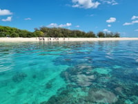 From 1770, Lady Musgrave Island Snorkelling Day Cruise - Housity