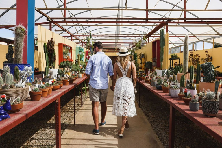 Cactus Country: Entry Ticket Strathmerton: Cactus Country General Admission Entry Ticket