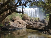 Dalat, randkieren en watervallen tour - Housity
