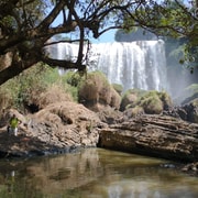 Da Lat: 3-Waterfall Tour, Coffee Farm and Silk Production with Local Guide