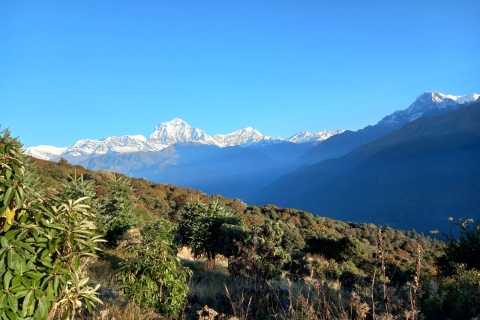 Ghorepani Poonhill Trek z Katmandu