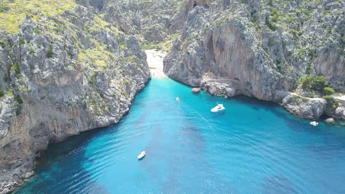 Sóller: Excursión en lancha rápida por Sa Calobra y Cala Tuent