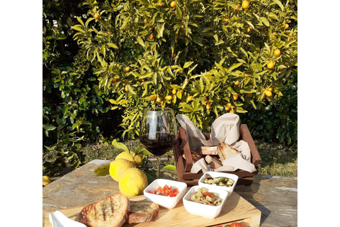 Pompéi : cours de cuisine et visite guidée avec un archéologue