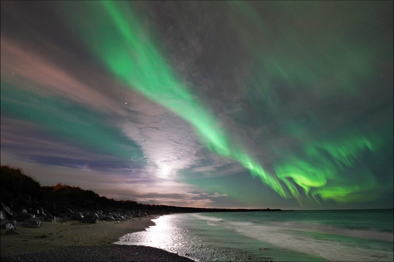 Reykjavik: Northern Lights Private Tour by Minibus Northern Lights Tour by Minibus